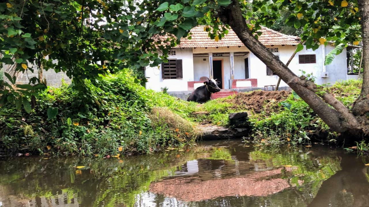 Ayana'S Homestay Alappuzha Εξωτερικό φωτογραφία